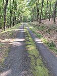 IMG_20250620_163140