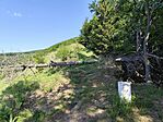 IMG_20250621_090458