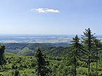 IMG_20250621_102929