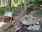 IMG_20250622_085654