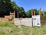 IMG_20250625_114217
