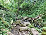 IMG_20250625_142337