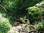 IMG_20250625_142356