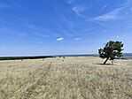 IMG_20250628_140825