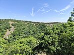IMG_20250628_150005
