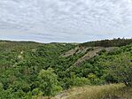 IMG_20250629_095436