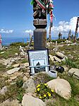 IMG_20250606_114136