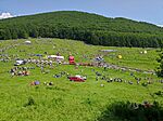 IMG_20250607_152718