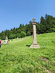 IMG_20250607_154649