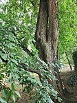 IMG_20250610_093246