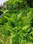 IMG_20250610_101102
