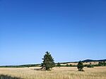 IMG_20250621_183346