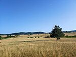 IMG_20250621_183402