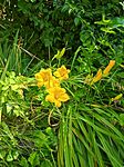 IMG_20250628_104100