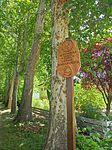 IMG_20250628_104130