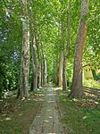 IMG_20250628_104135