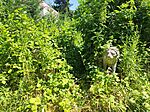IMG_20250628_110055