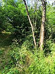 IMG_20250607_164105