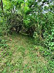 IMG_20250607_164844