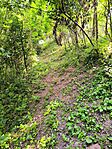 IMG_20250607_164947