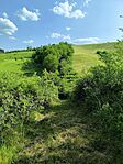 IMG_20250607_165531