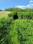 IMG_20250607_165855