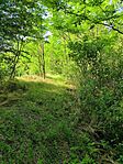 IMG_20250607_171424
