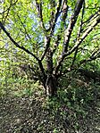 IMG_20250607_173603
