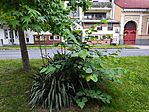 IMG_20250608_195245