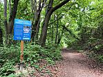 IMG_20250609_121909