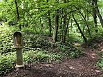 IMG_20250609_122142