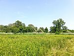 IMG_20250610_145138