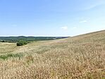IMG_20250614_141250