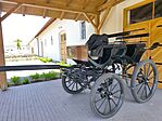 IMG_20250622_121413