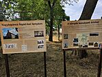 IMG_20250618_181023