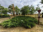 IMG_20250618_181606