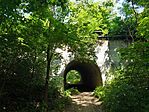 IMG_20250614_151125