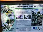 IMG_20250627_153433