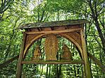 IMG_20250628_135816