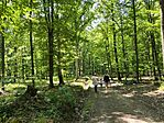 IMG_20250628_135433