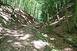 Árnyas