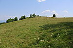 Dombtető
