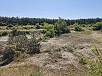 IMG_20250531_093359