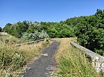 IMG_20250621_163120.jpg