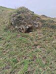 IMG_20250609_100626