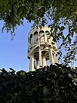 IMG_6452