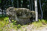 DSC01529
