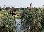 IMG_20250611_161054_988