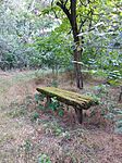 IMG_20250611_191418_277