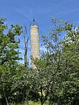IMG_9260